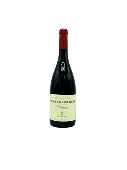 Coteaux Bourguignon Phalangere 75 cl